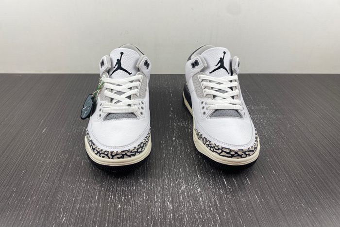 Air Jordan 3 GS “Hide N’ Sneak”  DX6665-100