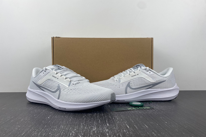 NIKE PEGASUS DV3853-102