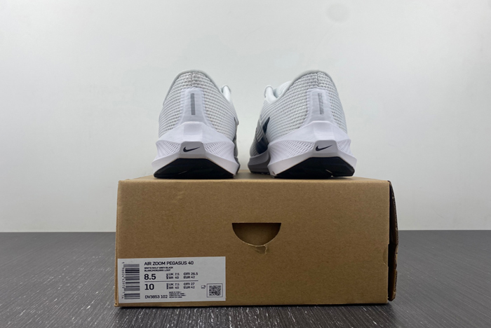 NIKE PEGASUS DV3853-102