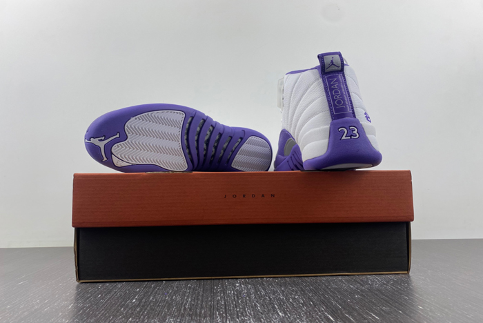 Nike Air Jordan 12  CT8013-150