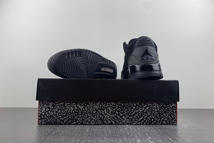 Air Jordan 3 CK9246-168
